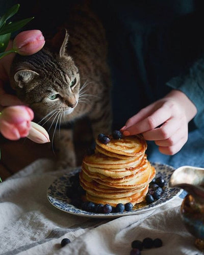 Schönen Pfannkuchentag!